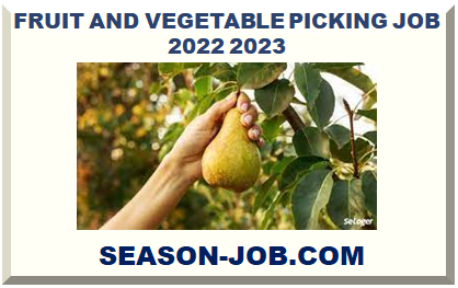 FRUIT AND VEGETABLE PICKING JOB 2022 2023