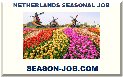NETHERLANDS SEASONAL JOB 2022 2023
