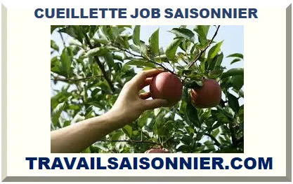 TRAVAIL SAISONNIER CUEILETTE 2025