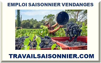 EMPLOI SAISONNIER VENDANGE 2025